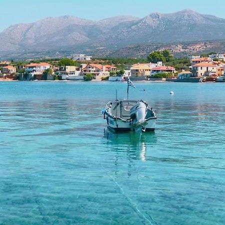 Κατοικία 80 Τ.Μ. Δίπλα Από Την Θάλασσα Στην Ελιά. Elia  Dış mekan fotoğraf